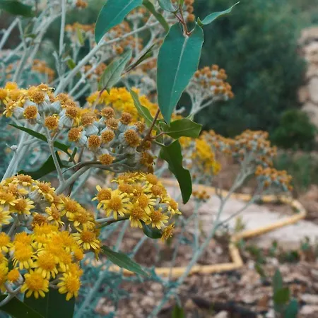 Konukevi Ta Jolie Gozo